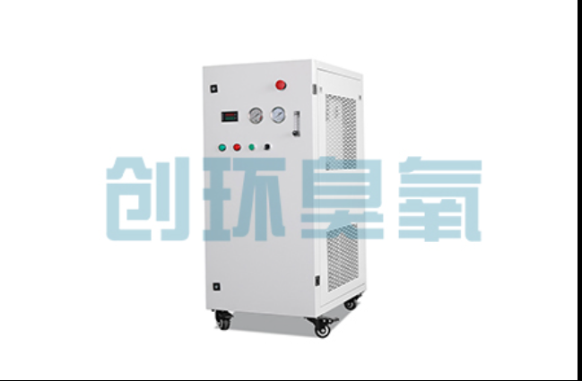 昌都工厂化养鲈必看:2026年臭氧发生器替代传统消毒的最新方案