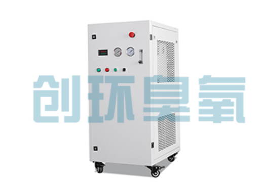 昌都石斑鱼养殖水质调控完整指南:臭氧发生器配置与操作步骤
