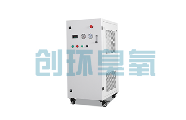 昌都比传统换水更高效?臭氧发生器在石斑鱼养殖中的水质净化原理解析